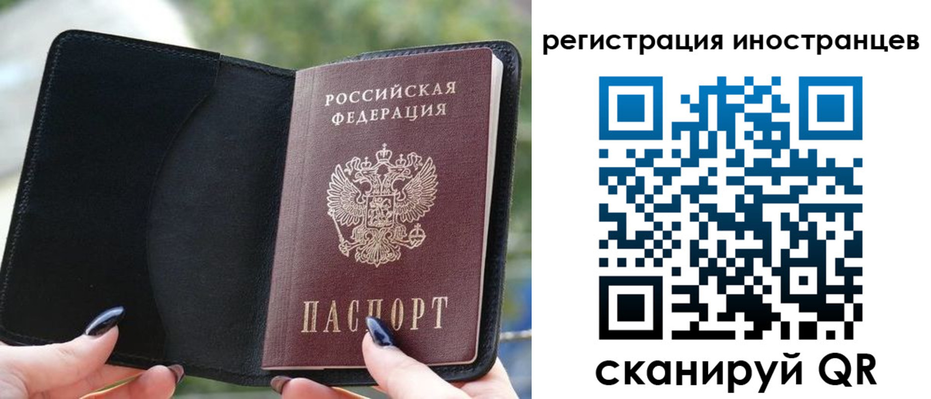 найти адрес прописки в Краснознаменске